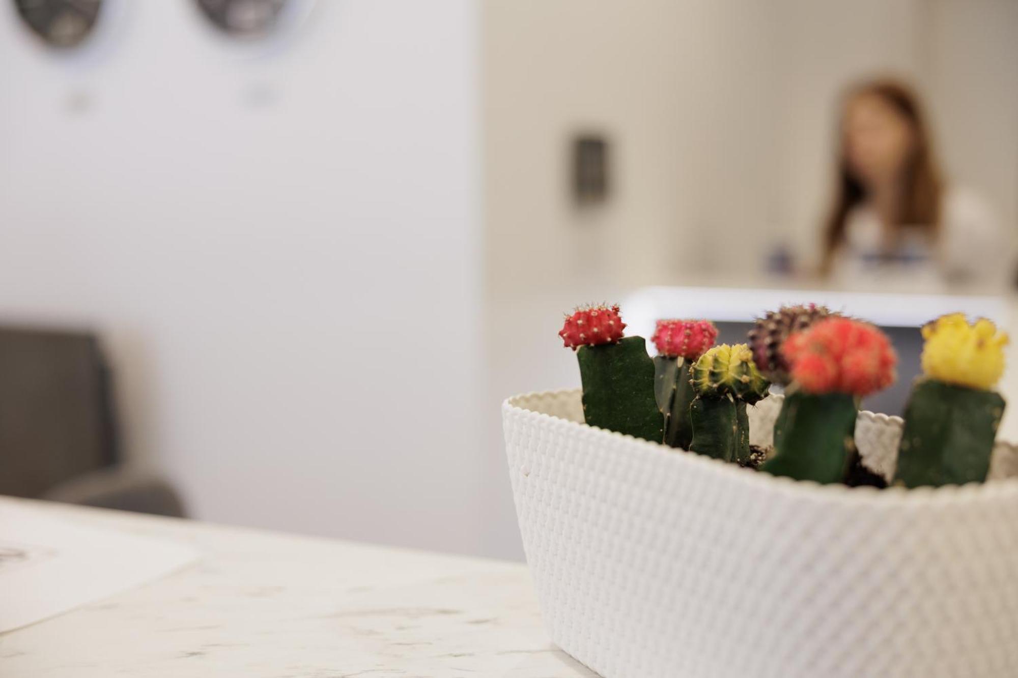 Local Hostel & Suites Potamós エクステリア 写真